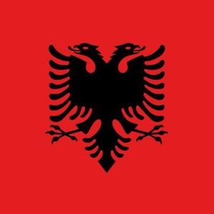 Meet your Posher, Blerton toni